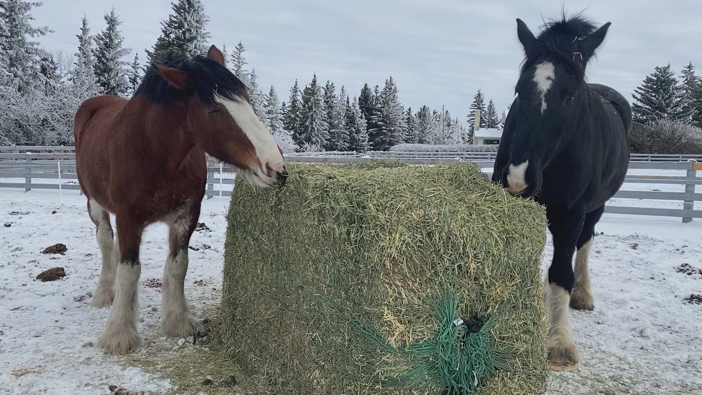 Large Square Bale Bag — One Large Square Bale