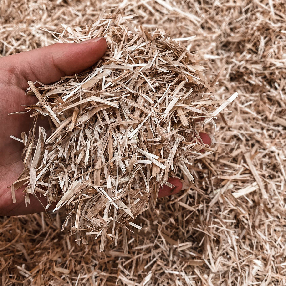 Simply Straw™ Bedding Farm and Barn Supply