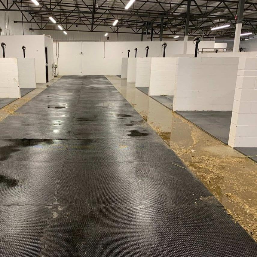 Black Stall Mats 4 x 6 Dome / Flat Farm and Barn Supply