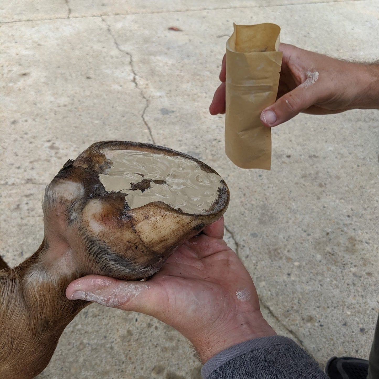 Sirocco Abscess Pack