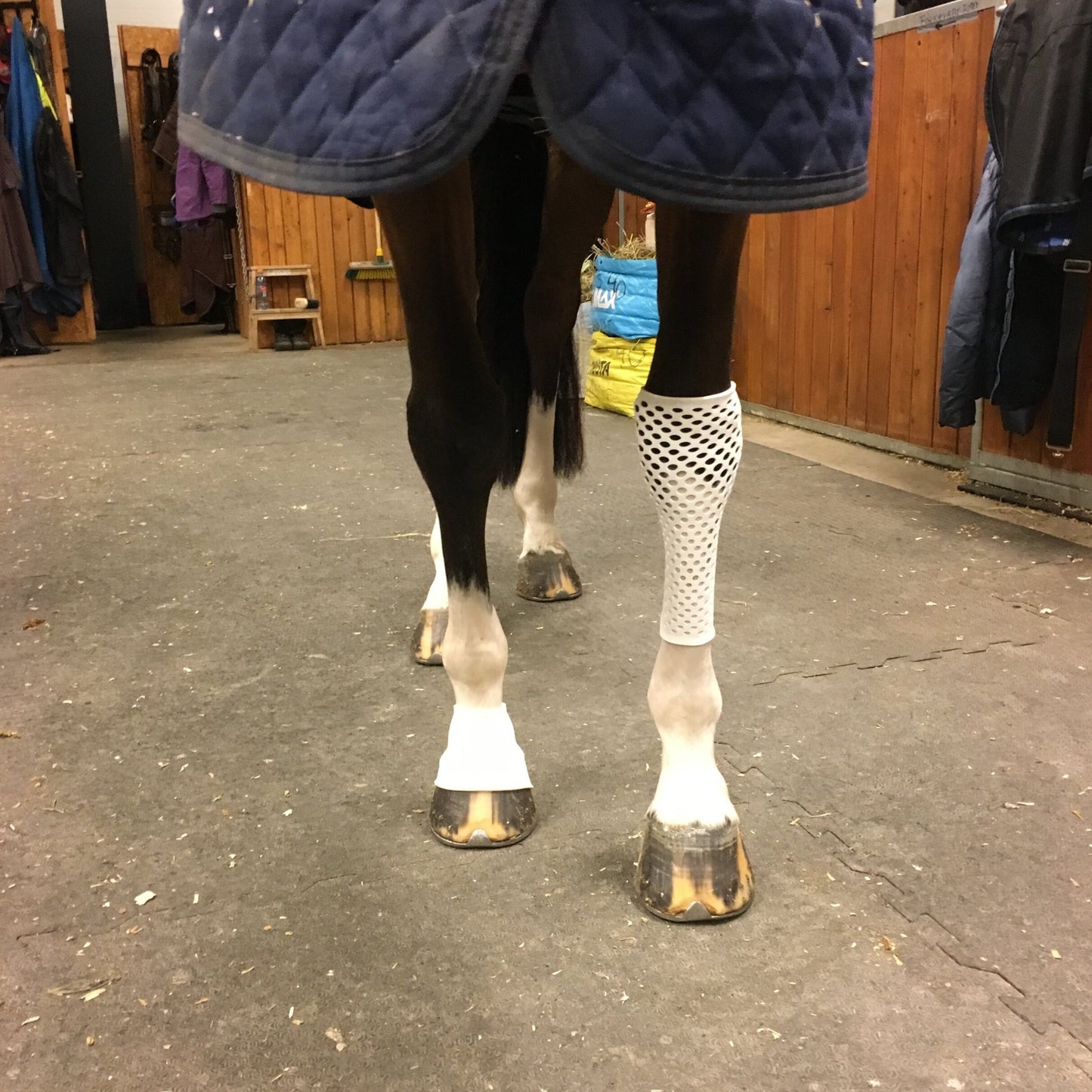Vented Equine Bandage