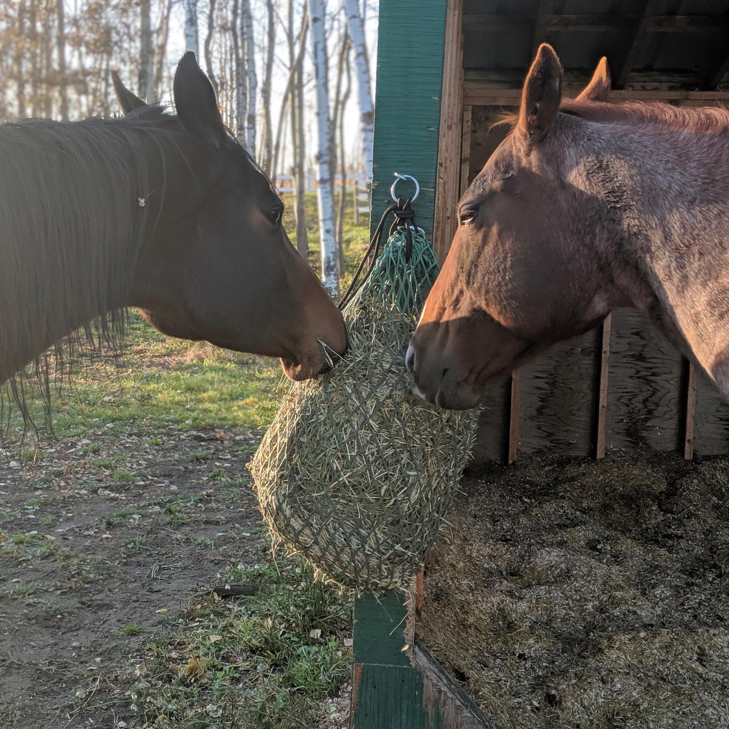 NAG Bag™ Trailer Bag Slow Hay Feeders