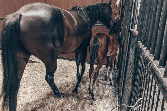 9 Easy Ways To Save Money Around The Barn
