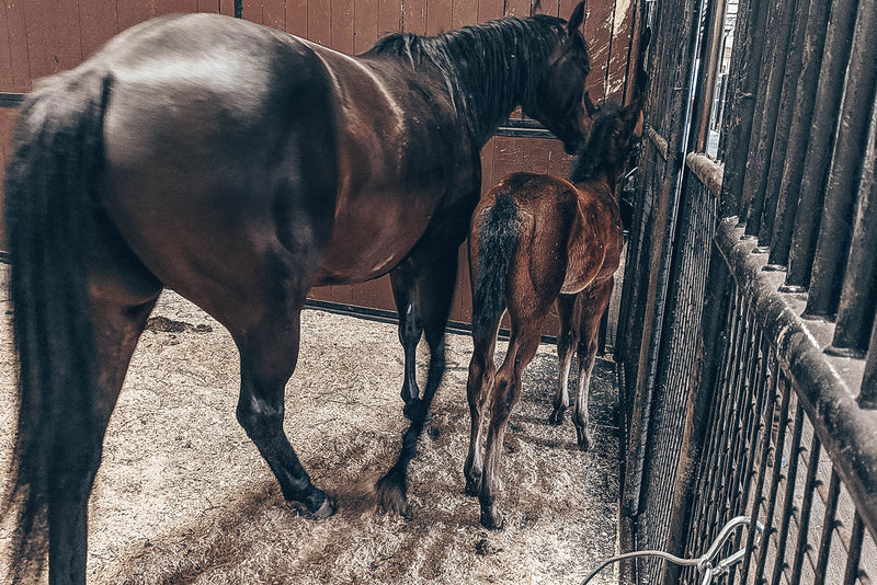 9 Easy Ways To Save Money Around The Barn