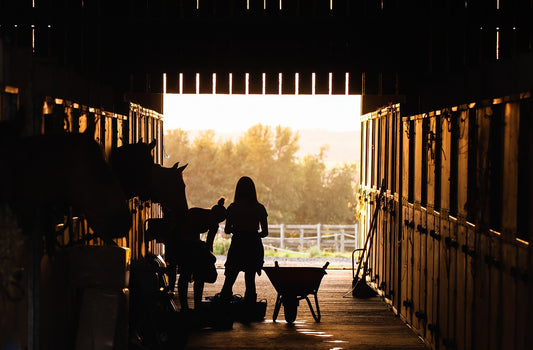 Farm & Barn's - Stall Fresh Deodorizer: Neutralizing Ammonia Naturally
