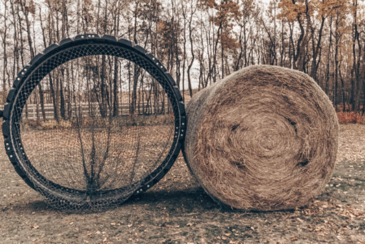 Feeding Your Horse - Poly Hay Ring VS Free Choice