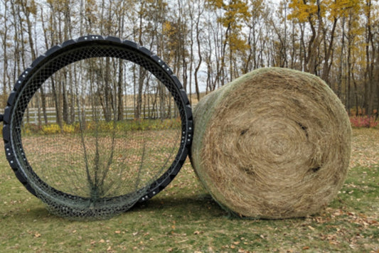 5 Awesome Benefits of Horse Hay Slow Feeders