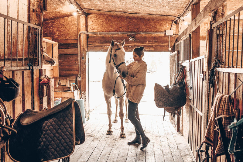 Woman holding the bridle of a white horse in a wood-lined barn aisle