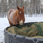 Poly hay ring feeder close-up