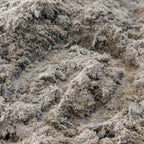 WHOA Dust applied to arena footing
