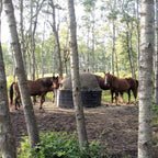 Poly hay ring with NAG Bag net