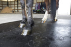 Classic Stall Mat — 3/4" Heavy-Duty Rubber