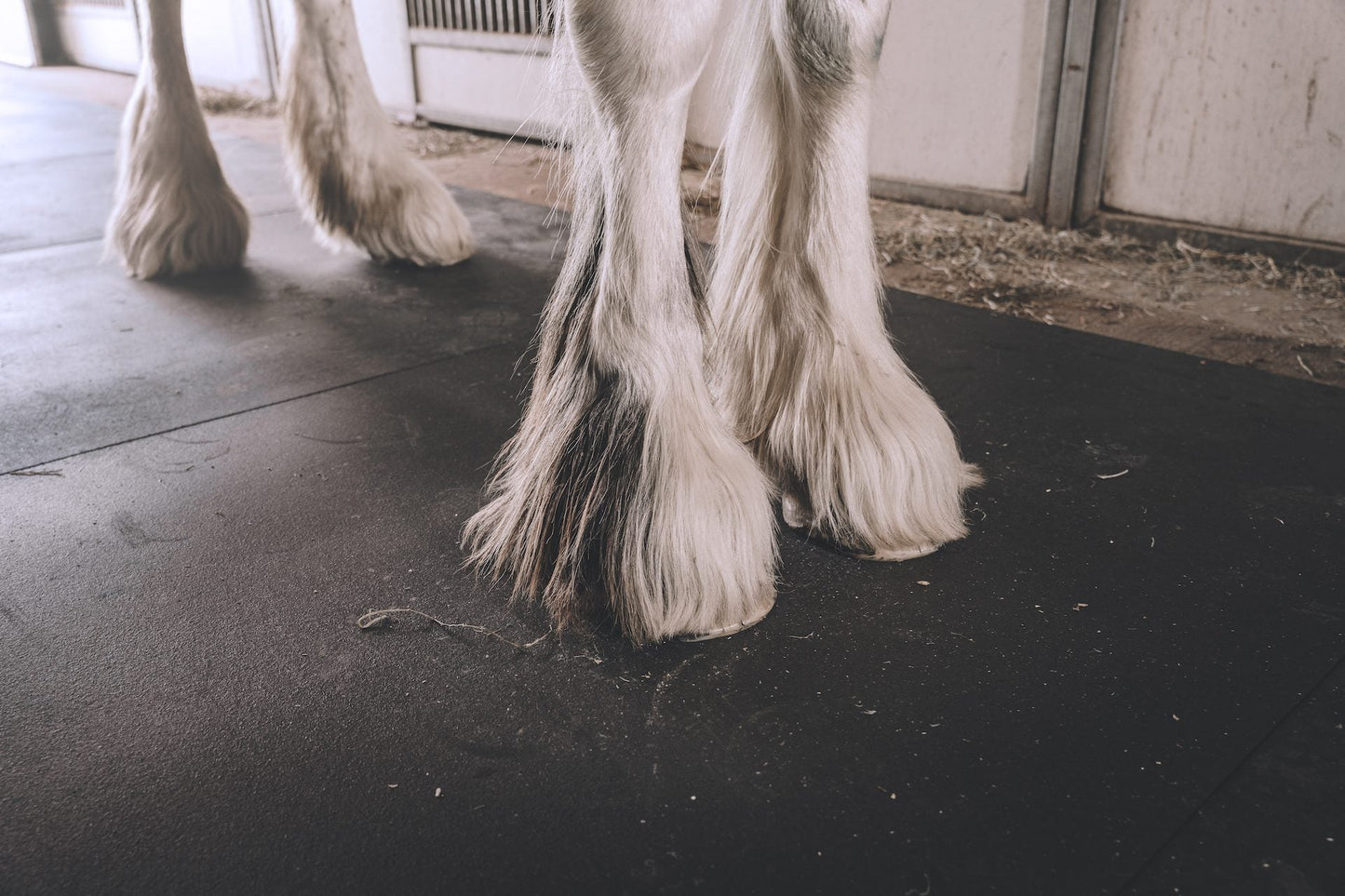 Classic Stall Mat — 3/4" Heavy-Duty Rubber