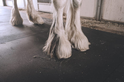 Classic Stall Mat — 3/4" Heavy-Duty Rubber