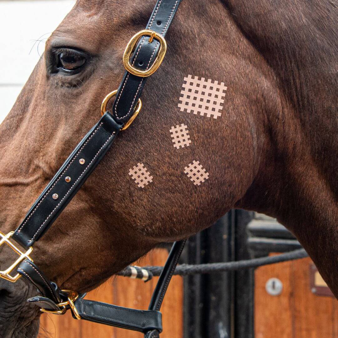 CrossLinq® Vet Cross Tape — Cross Patches for Animals