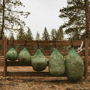 Five green slow feed hay nets in graduated sizes hanging along a fence rail
