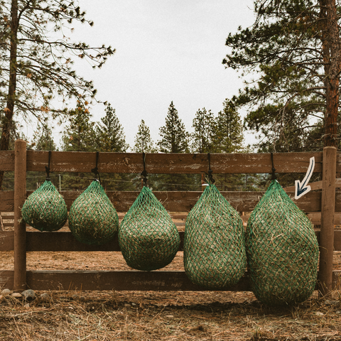 Day Bag — Slow Feed Hay Net