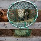 EZ Fill — Wall-Mount Slow Feeder