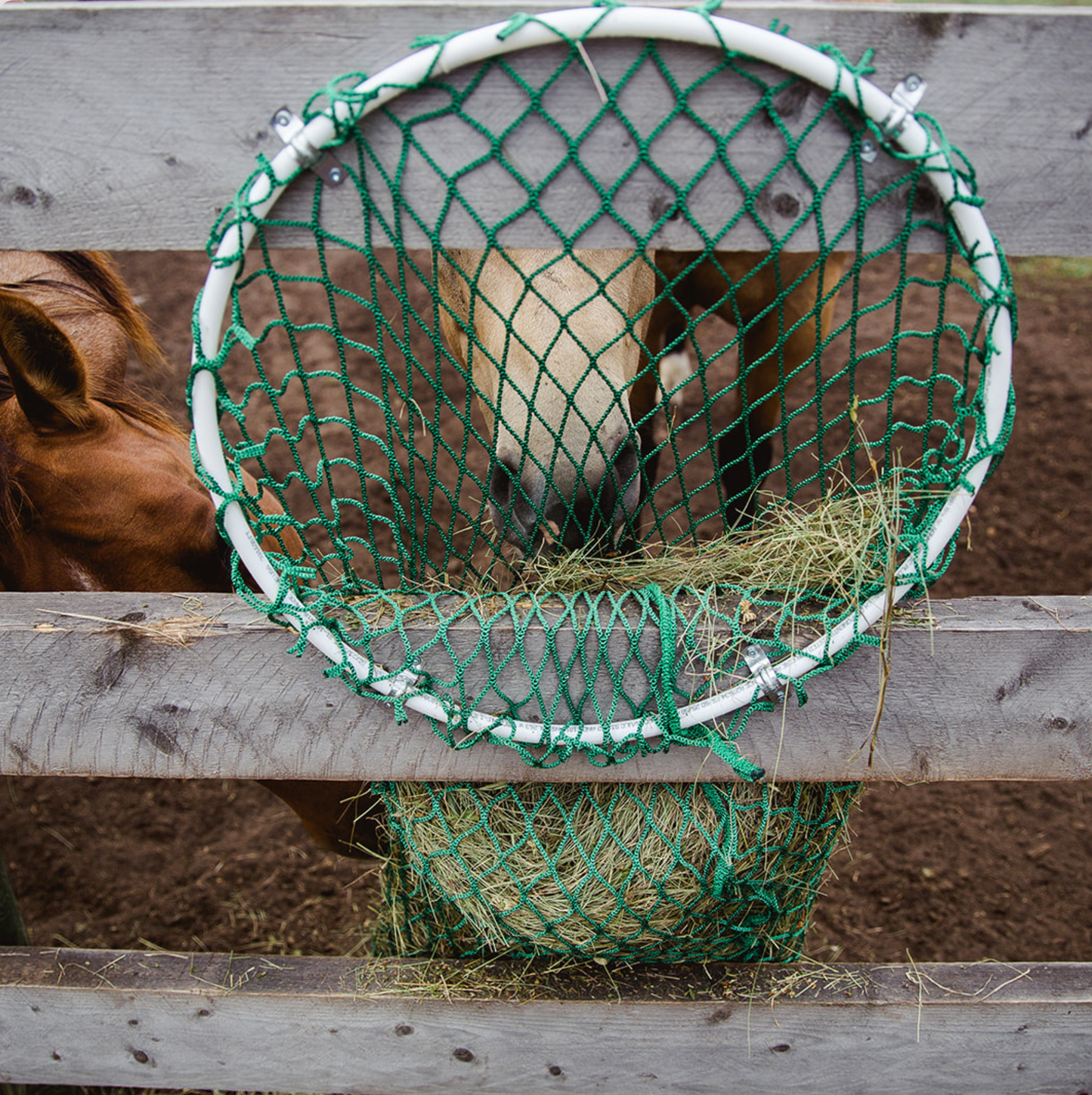 EZ Fill — Wall-Mount Slow Feeder
