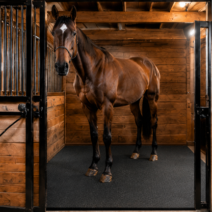 Equilibria Stall Mattress — Engineered Cushion Support