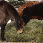 Large Square Bale Bag — One Large Square Bale