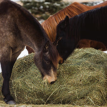 Large Square Bale Bag — One Large Square Bale