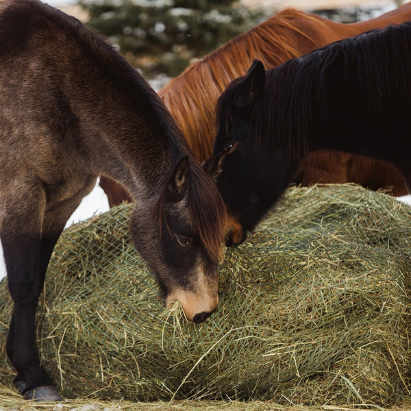 Large Square Bale Bag — One Large Square Bale