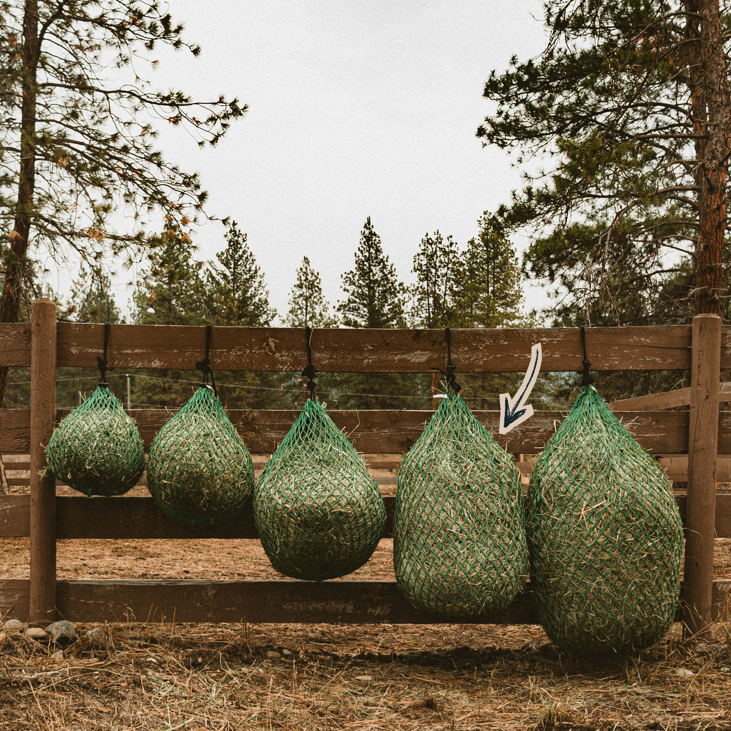 Mid-Day Bag — 4–6 Flake Capacity