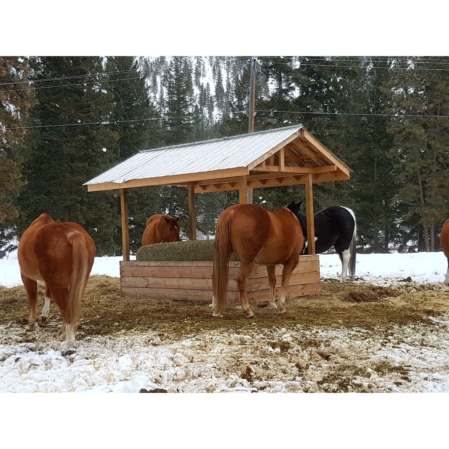 Slow Feed Hay Net Topper — Round Bale Feeder Topper