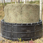 Horses eating from a poly hay ring
