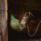 Trailer Bag — Travel & Barn Slow Feeder