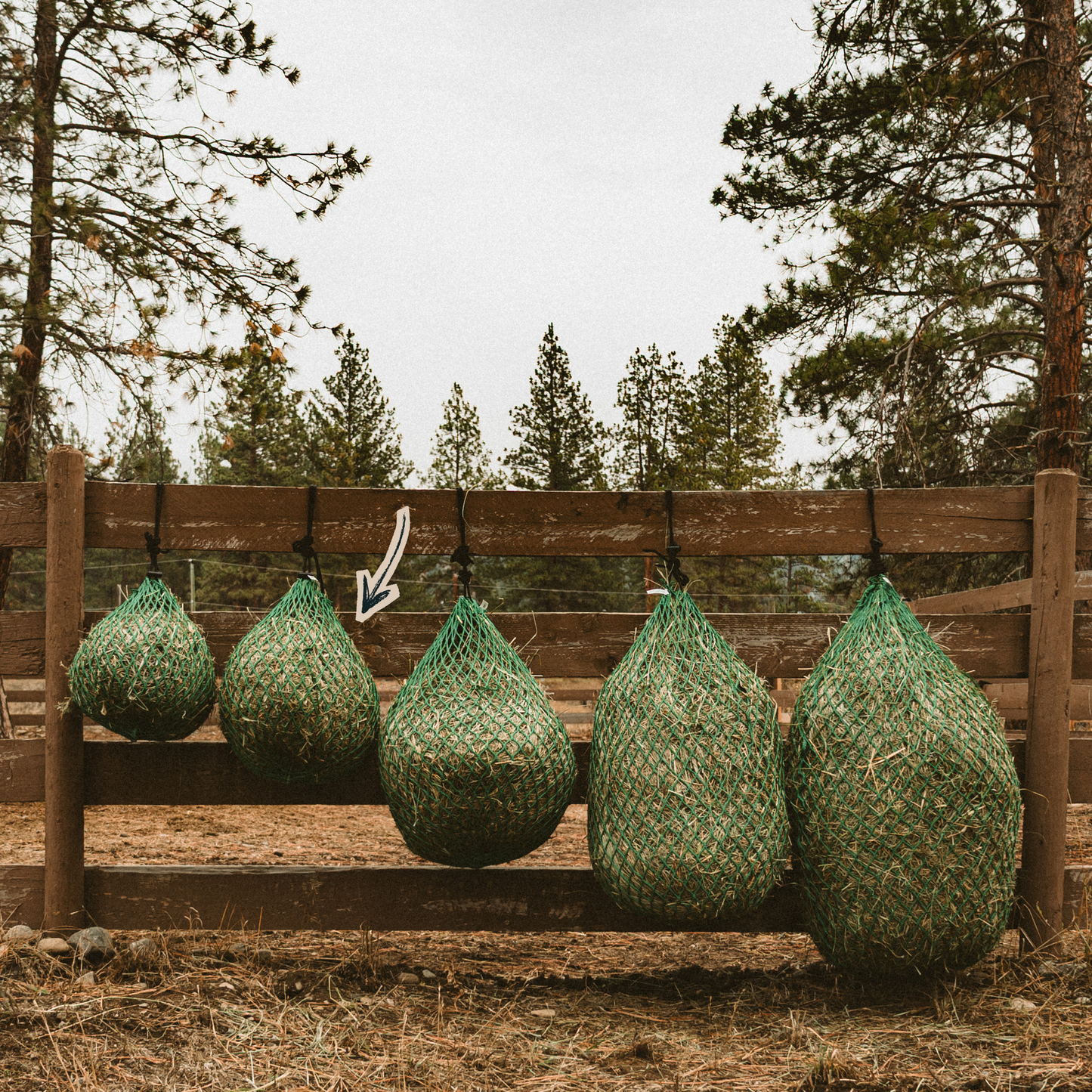 Trailer Bag — Travel & Barn Slow Feeder