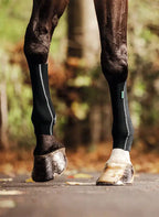 EquiCrown® ACTIVE