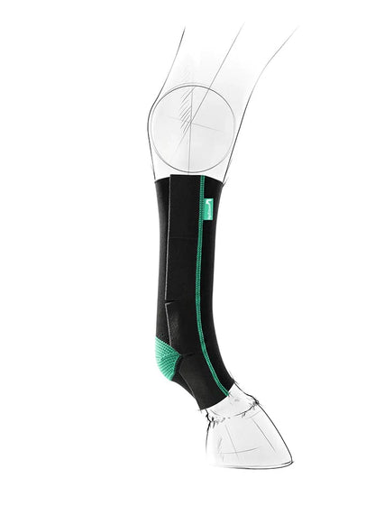EquiCrown® ACTIVE