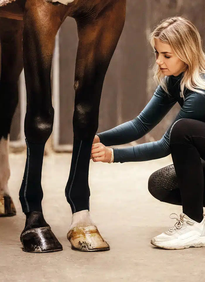 EquiCrown® ACTIVE Compression Wraps — Green/Black