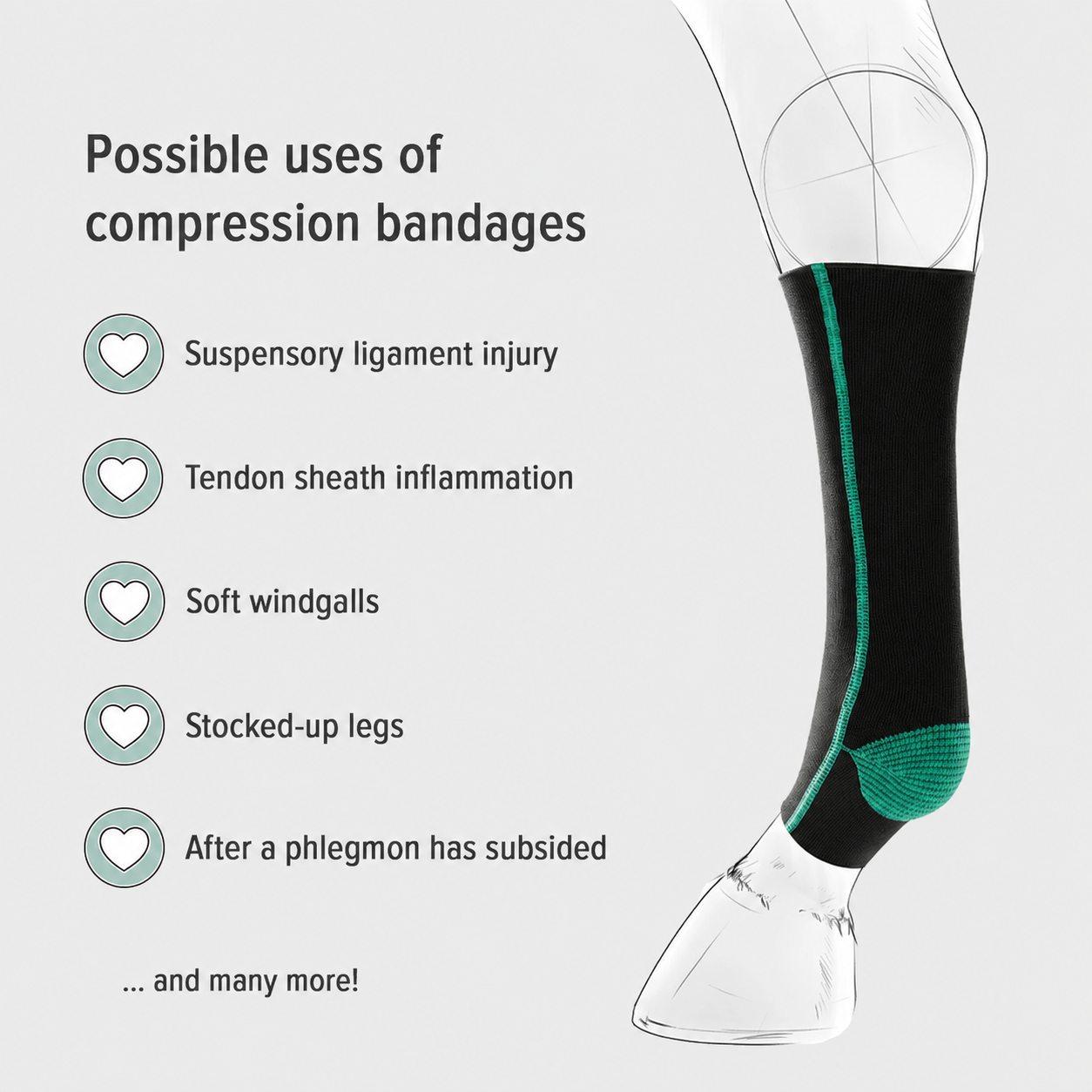 FIT Silver Compression Wraps — by EquiCrown