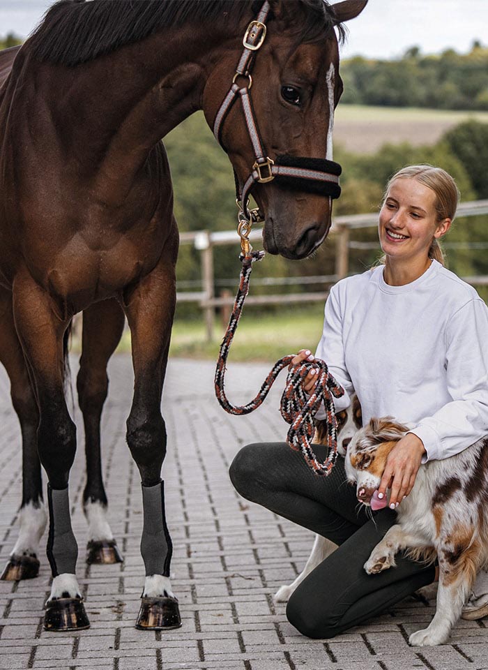 EquiCrown® FIT Silver