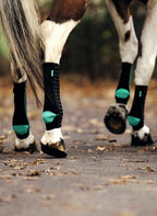 Horse wearing EquiCrown FIT compression wraps