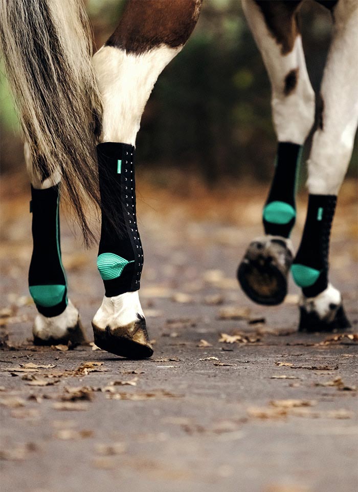 EquiCrown® FIT Compression Wraps — Green/Black
