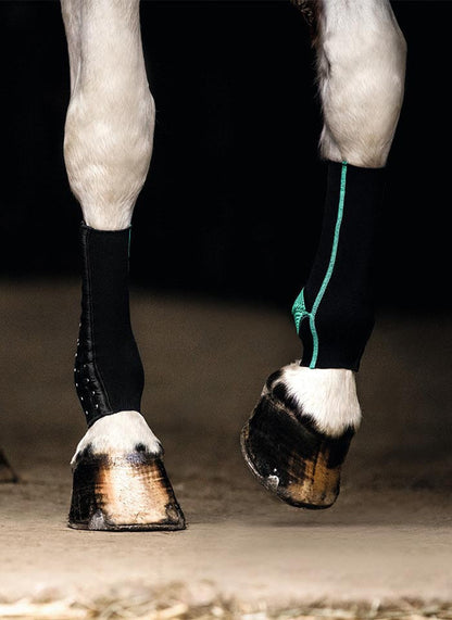 EquiCrown® FIT