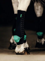 EquiCrown® FIT Compression Wraps — Green/Black