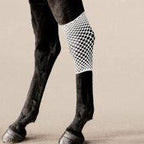 Vented bandage on a horse's hock