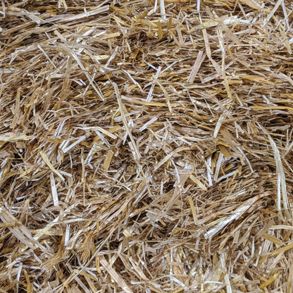 Sirocco 25KG