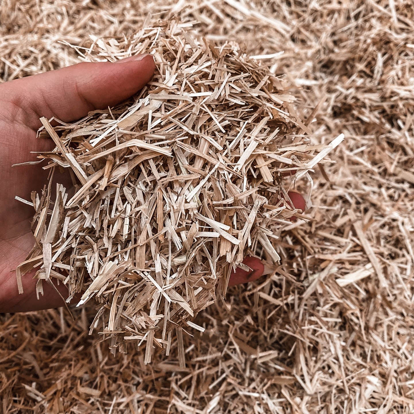 Simply Straw™ Bedding