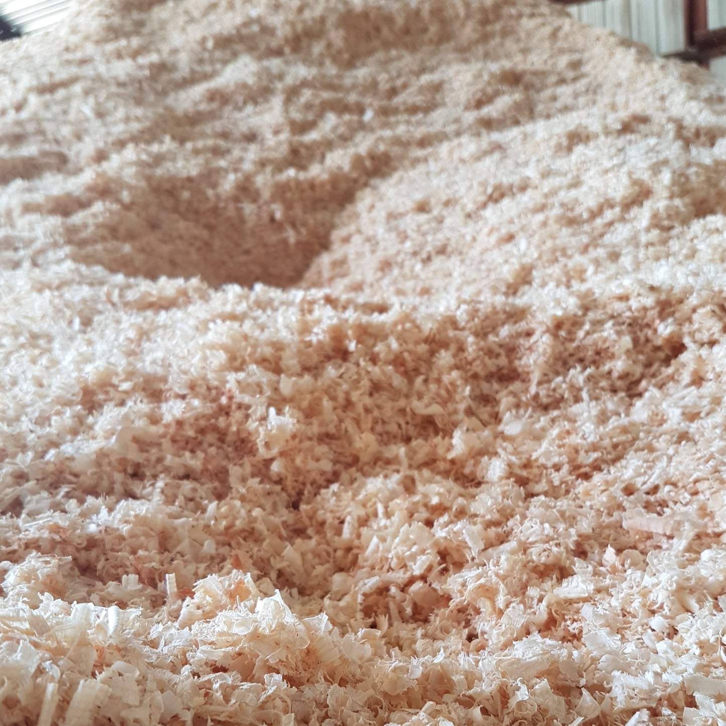 Bulk Shavings