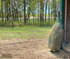 NAG Bag™ Square Bale Bag Slow Feeder