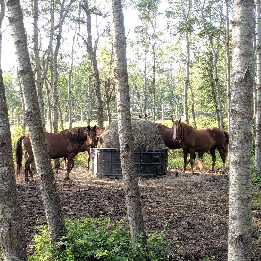 Adjustable Poly Hay Ring Feeder