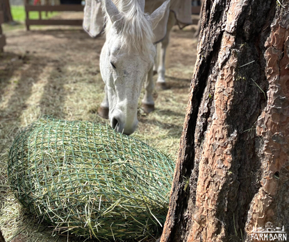 Slow Feed Set of Hay Bag and Hay Net for Horses, A... – Vicedeal Slow Feed Set of Hay Bag and Hay Net for Horses, A... – Vicedeal