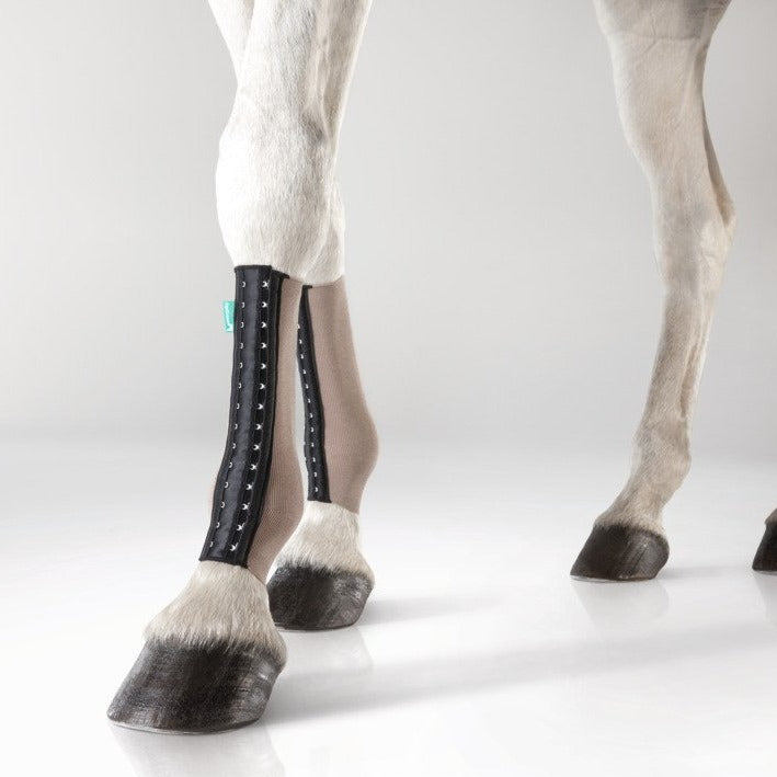 EquiCrown® FIT SILVER