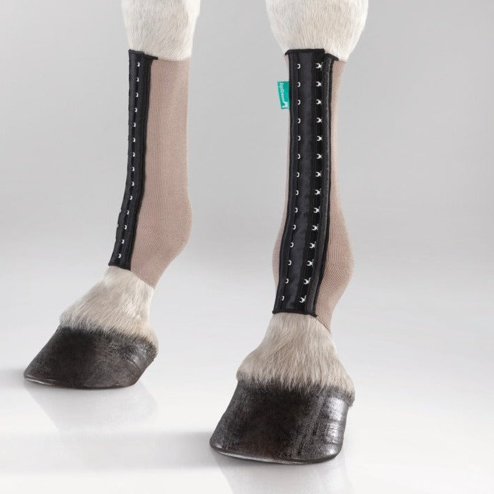 EquiCrown® FIT SILVER